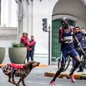 maratón